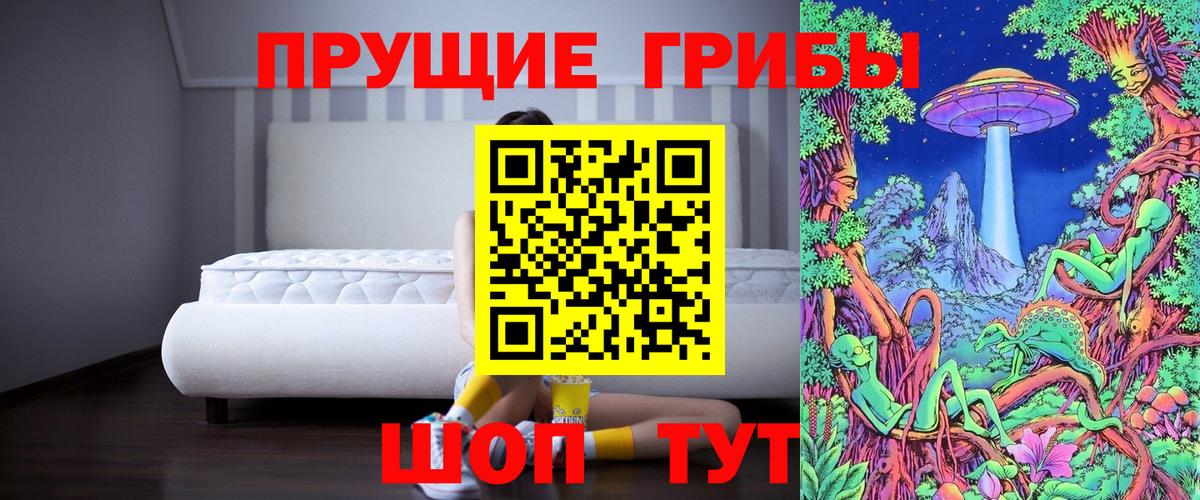Когалым  Псилоцибиновые грибы прущие грибы  Вход с VPN 